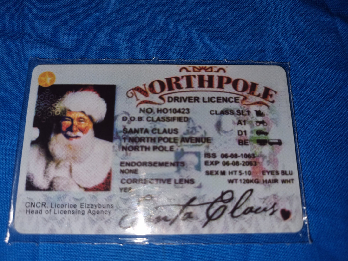 CLASSIC SANTA DRIVING LICENCE
