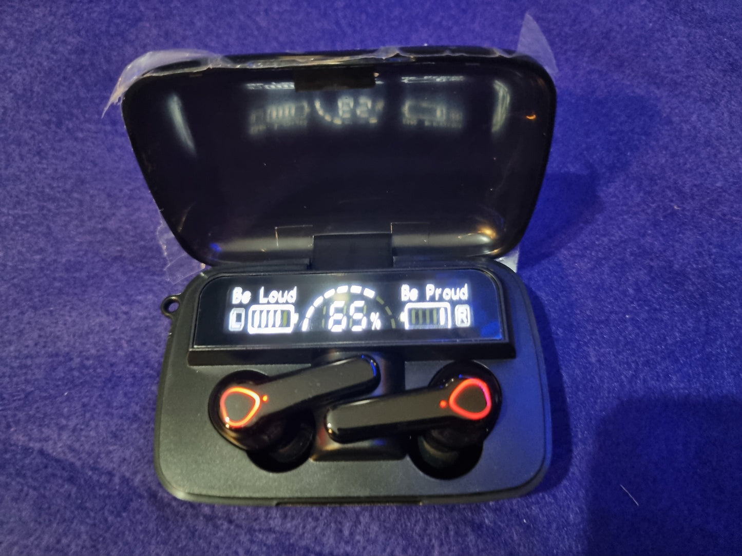 M19 EARBUDS