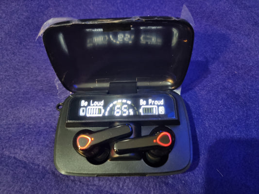 M19 EARBUDS