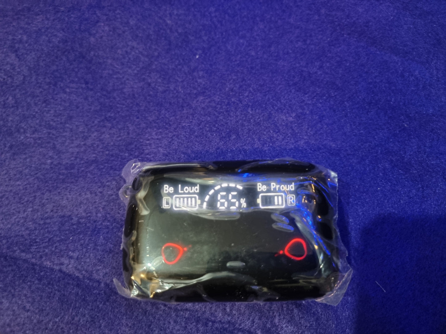 M19 EARBUDS