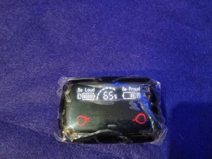 M19 EARBUDS