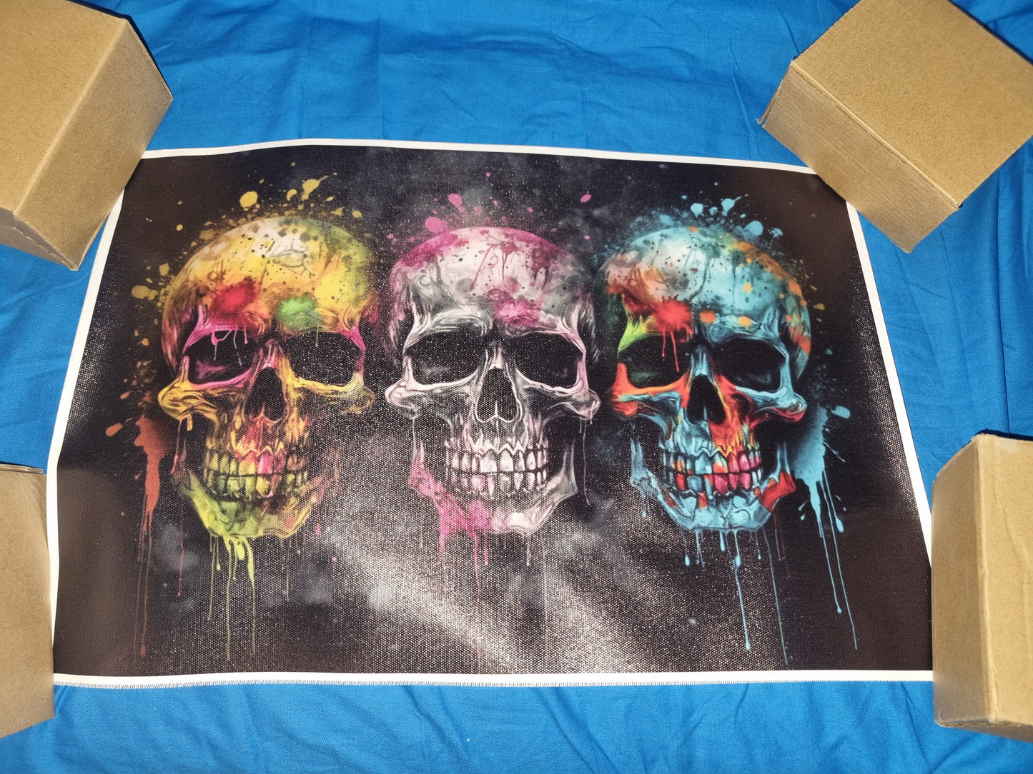 Colourful skull art canvass