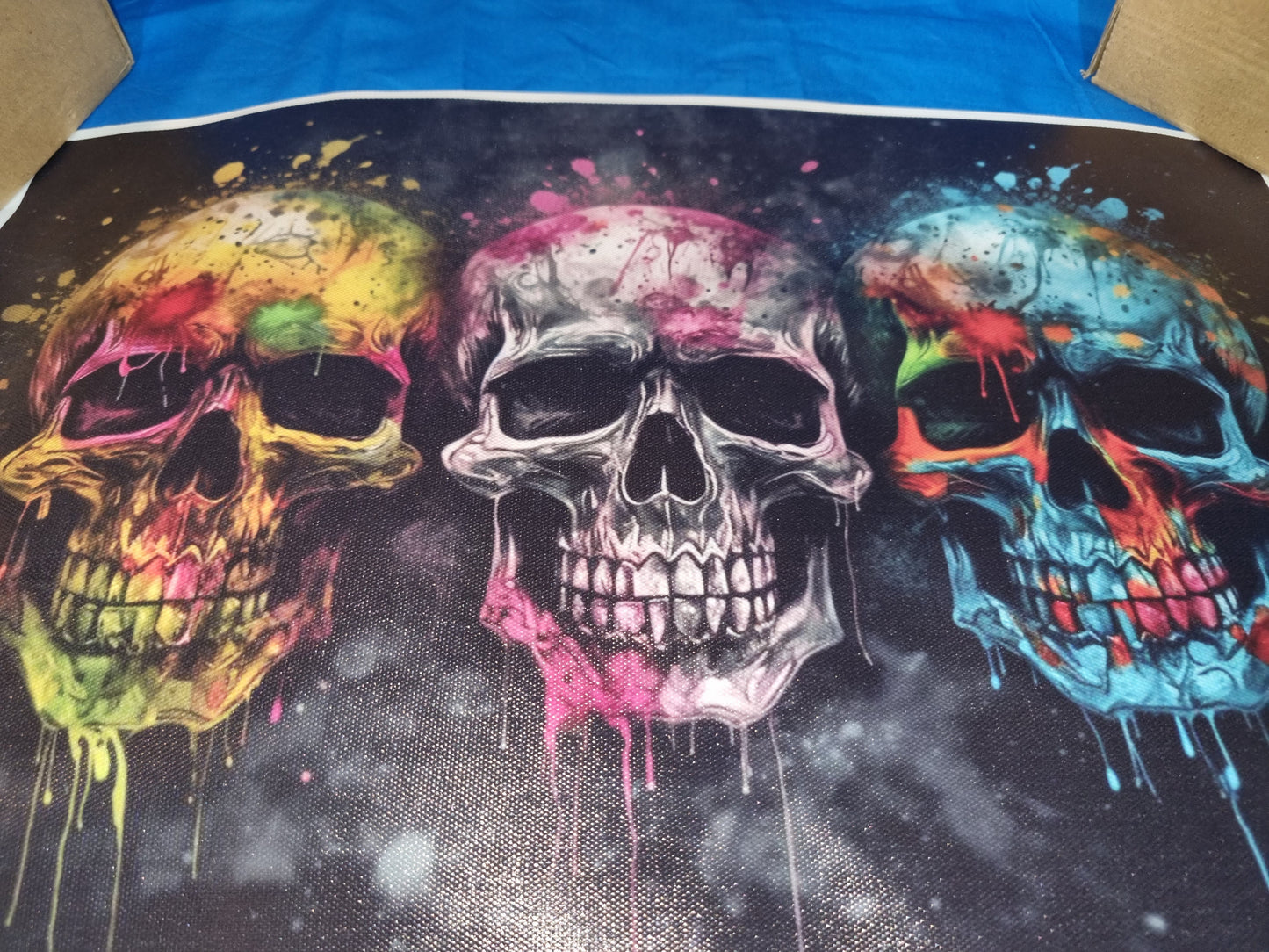 Colourful skull art canvass