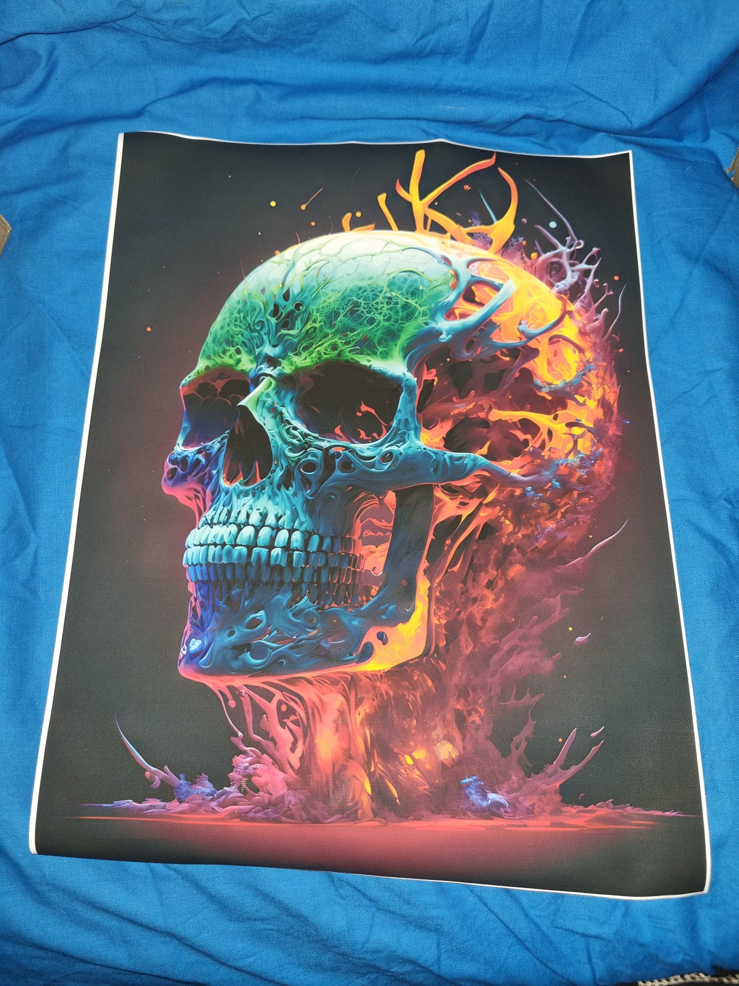 FLAMING SKULL CANVASS