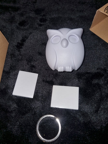 WHITE NIGHT OWL KEY HOLDER